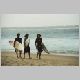 0932 Surf Dudes.JPG